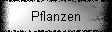 Pflanzen
