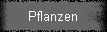 Pflanzen